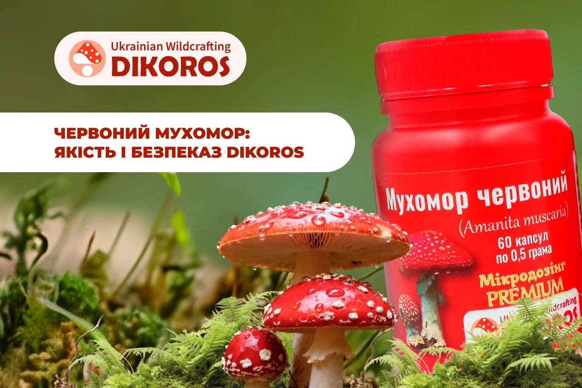 Червоний мухомор: 5 речей, які варто перевірити перед покупкою